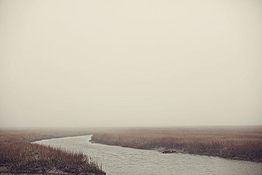 雾状,河,湿地