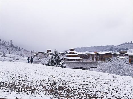 鲁朗春日初雪