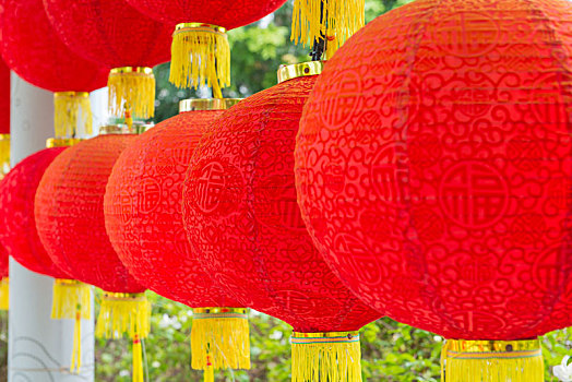 传统,红灯笼,悬挂,中国寺庙