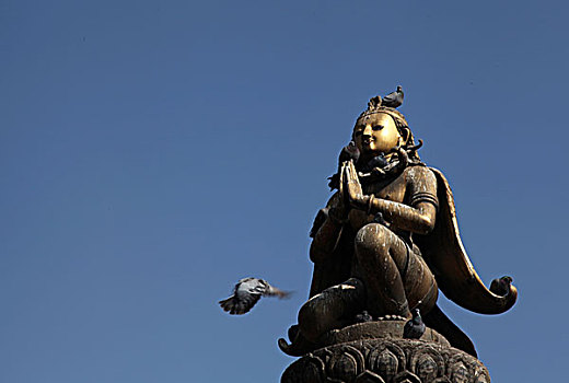 尼泊尔帕坦杜巴广场上空的鸽子