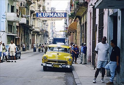 街景,历史,城镇中心,雪茄工厂,标识,哈瓦那,古巴,加勒比海