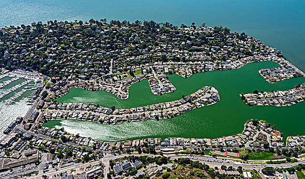 住宅,建筑,水岸,观景楼,半岛,旧金山湾,区域,美国,加利福尼亚