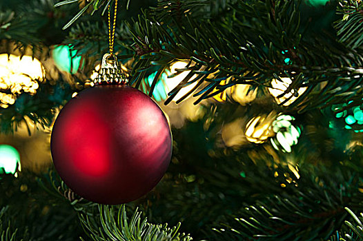 装饰,红色,小玩意,圣诞树