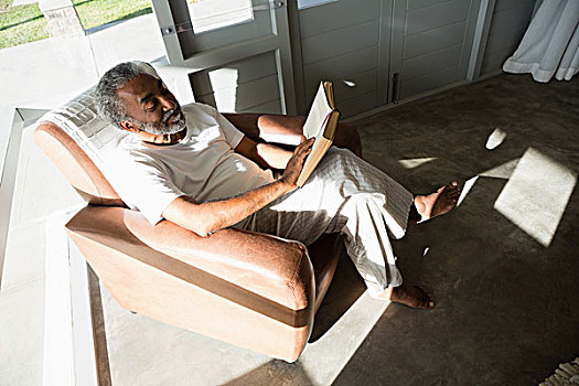 老人,读,书本,在家,活力老人,男人