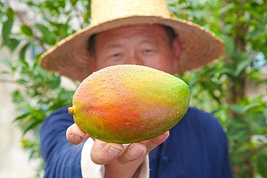 手拿凯攀枝花特芒