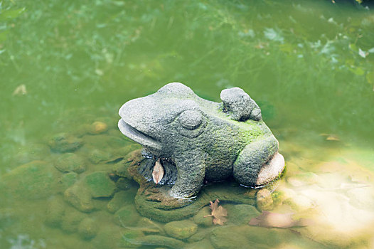 西安小雁塔水池中的青蛙雕塑