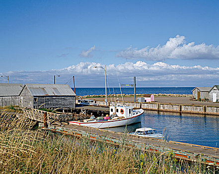 河,捕鱼,港口,新斯科舍省,加拿大