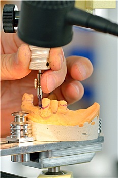 牙齿,技术人员,测量,假牙
