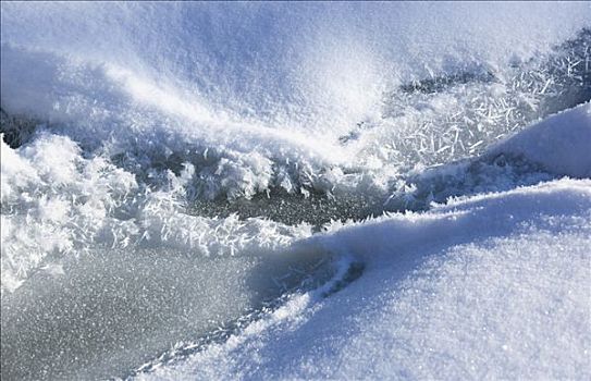 冰,雪,水塘,安大略省,加拿大