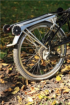 折叠,自行车,公园