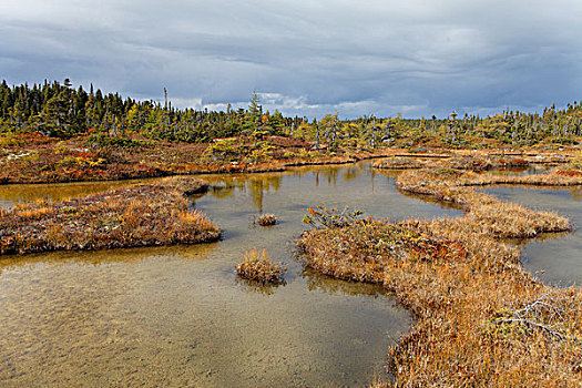 泥炭沼,国家公园,自然保护区,采石场,岛屿,地区,魁北克,加拿大