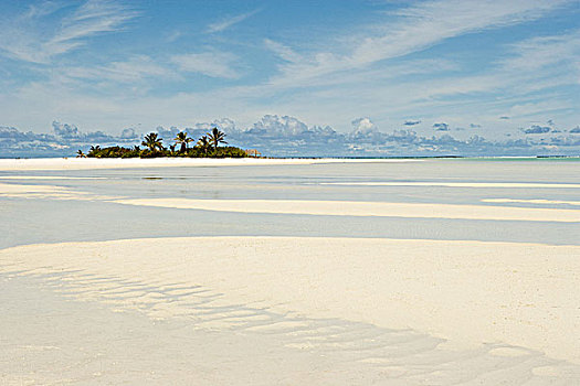 岛屿,南太平洋,海滩,棕榈树