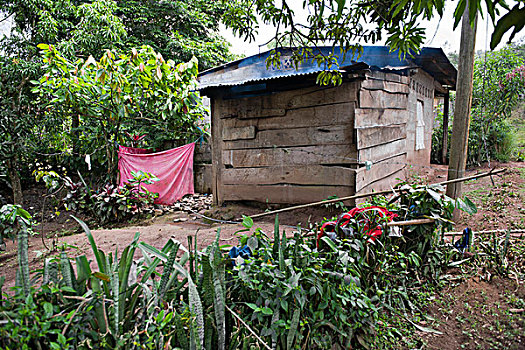 木屋,乡村,尼加拉瓜,中美洲