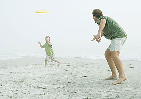 父子,投掷,飞盘,海滩