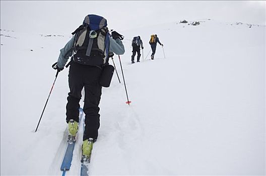 滑雪,登山者,攀登,斜坡,塞尔扣克山,加拿大