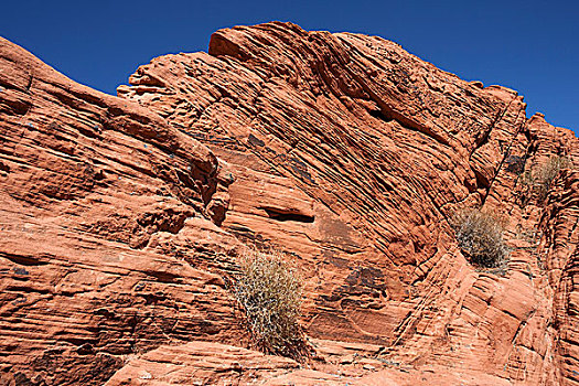 红色,沙岩构造,火焰谷州立公园,内华达,美国,北美