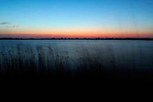 黎明,湿地