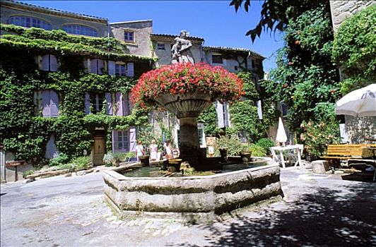 法国,花,喷泉,乡村