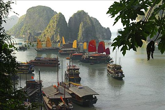 帆船,下龙湾,越南