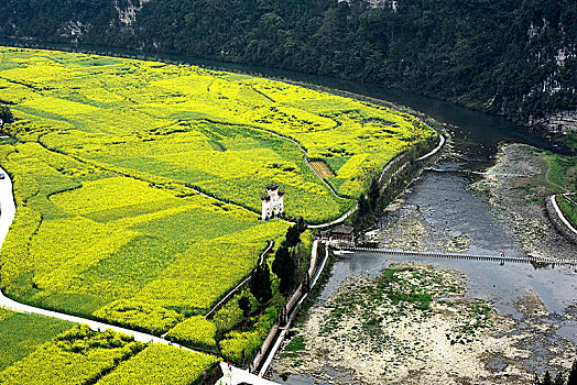 贵州最美油菜花农事景观,长碛古寨