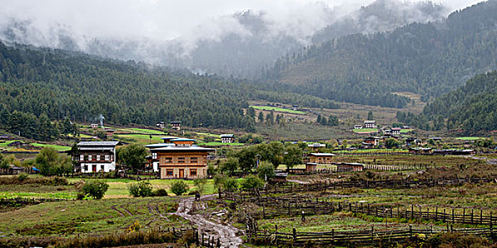乡村,山谷,不丹