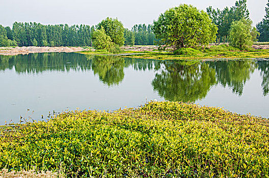 河流和生态湿地