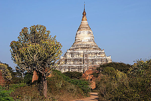 塔,庙宇,蒲甘,曼德勒省,缅甸,亚洲