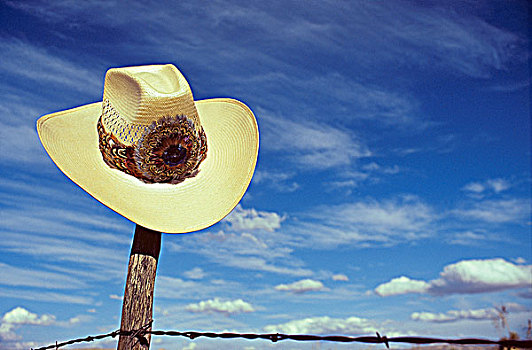 牛仔帽,刺铁丝网,不列颠哥伦比亚省,加拿大