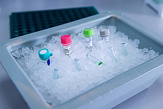 癌症研究,实验室,细胞,冰,存储,零,温度,液体氮