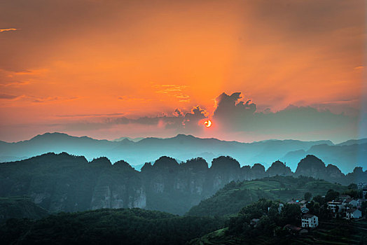 生活,花卉