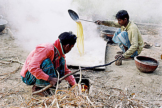 甘蔗,果汁,英里,孟加拉,二月,2007年