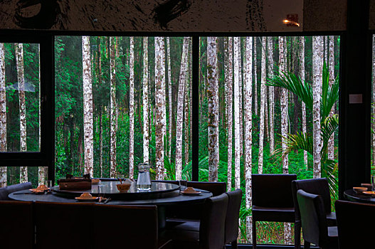 餐厅的落地窗外竟是一片树林美景