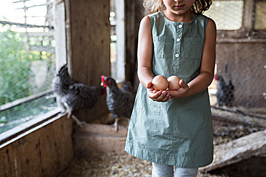 女孩,鸡,栏舍,拿着,新鲜,蛋,腰部