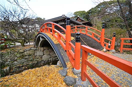 黄叶,桥,神祠,京都