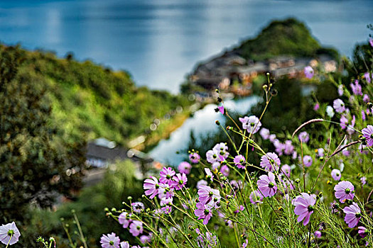 里格半岛