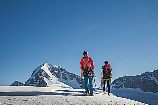 后视图,两个,男性,攀登者,移动,向上,伯恩,瑞士