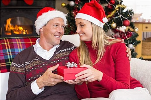 微笑,情侣,圣诞帽,拿着,礼物
