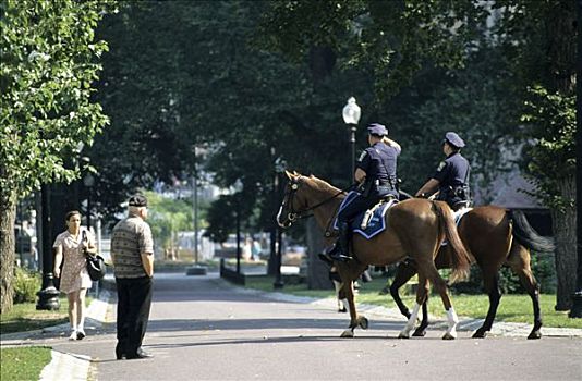 骑,警察,波士顿,马萨诸塞,美国