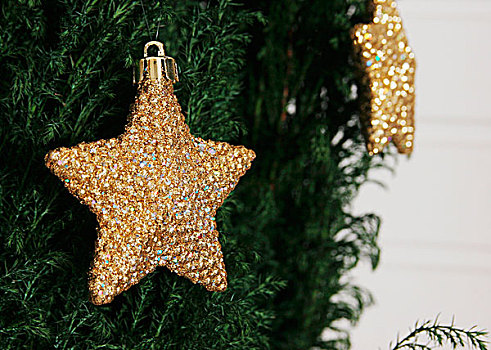 金色,星形,圣诞装饰,悬挂,针叶树