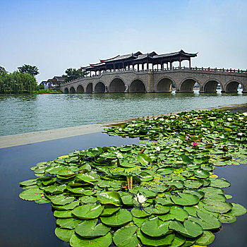 苏州金鸡湖