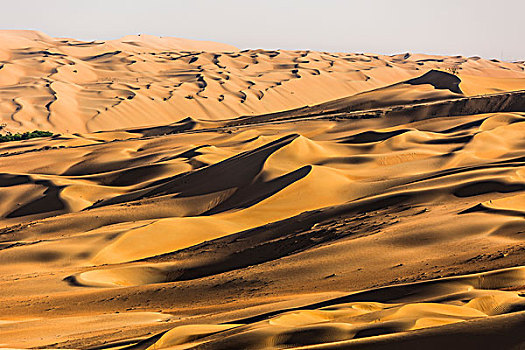 沙丘,沙漠,靠近,空,区域,阿联酋,亚洲