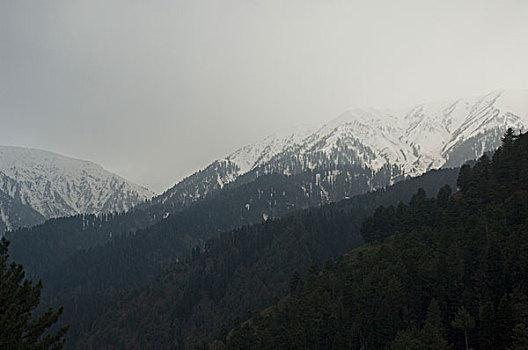全景,山峦,查谟-克什米尔邦,印度