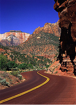 公路,岩石构造,锡安国家公园,犹他,美国