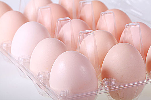 鸡蛋放在透明塑料盒中