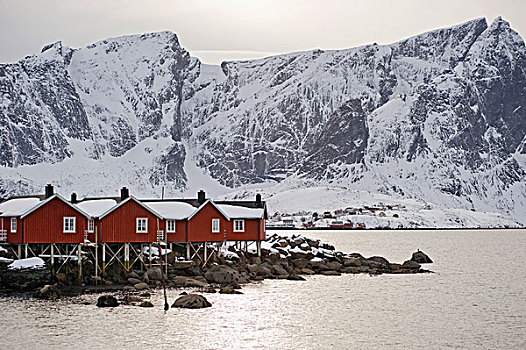 传统,木质,瑞恩,岛屿,罗浮敦群岛,挪威北部,挪威,欧洲
