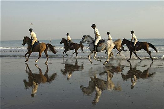 阿曼苏丹国,骑手,海滩