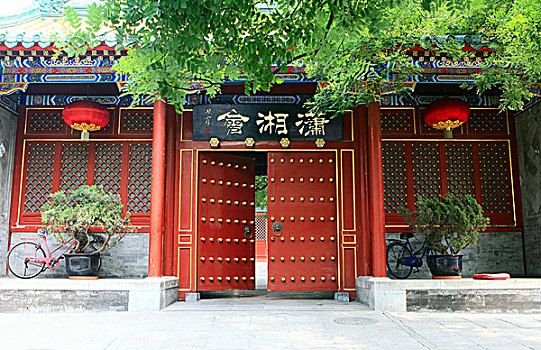 传统,中国,建筑,北京,树