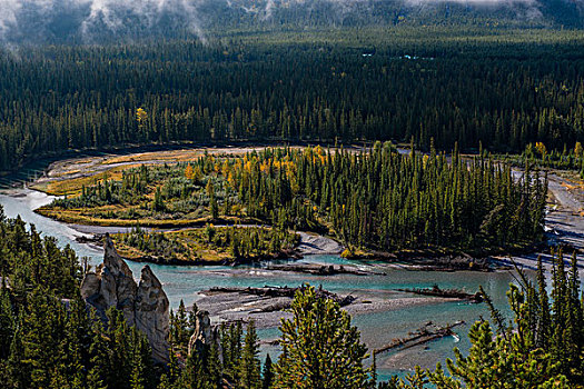 风景,弓河,山谷,怪岩柱,视点,班芙国家公园,艾伯塔省,省,加拿大,北美