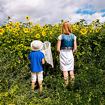 母亲,儿子,站立,向日葵,拿着,捕蝶网,后视图,俄罗斯,欧洲
