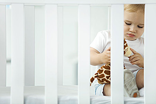 幼儿,坐,婴儿床,玩,毛绒玩具,长颈鹿